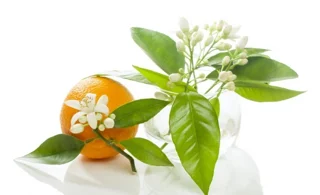 عرق بهارنارنج هلیکتی